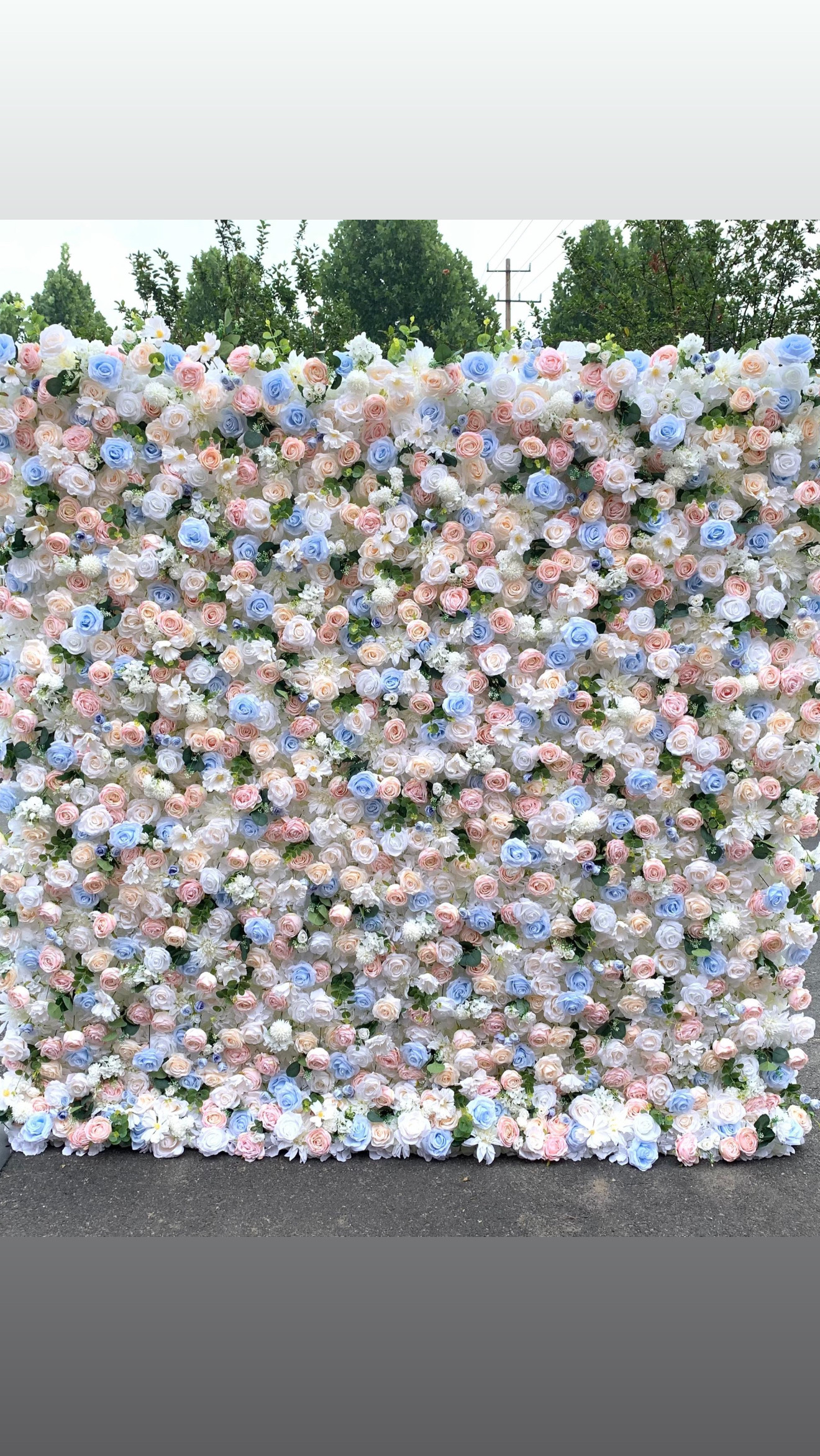 Blue, Blush & White flower wall rental
